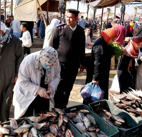 حملة بيطرية للتفتيش على أسواق الأسماك بالشرقية