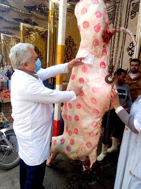 حملة بيطرية للتفتيش على محال الجزارة بالشرقية 01