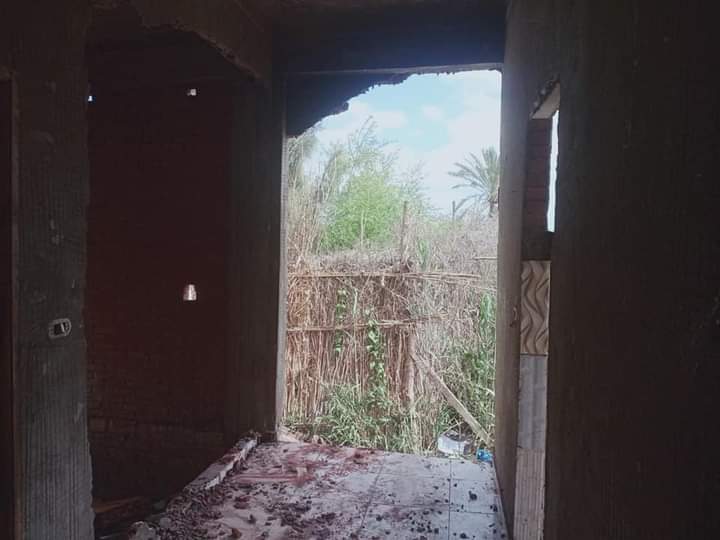 FB_IMG_1649934229435