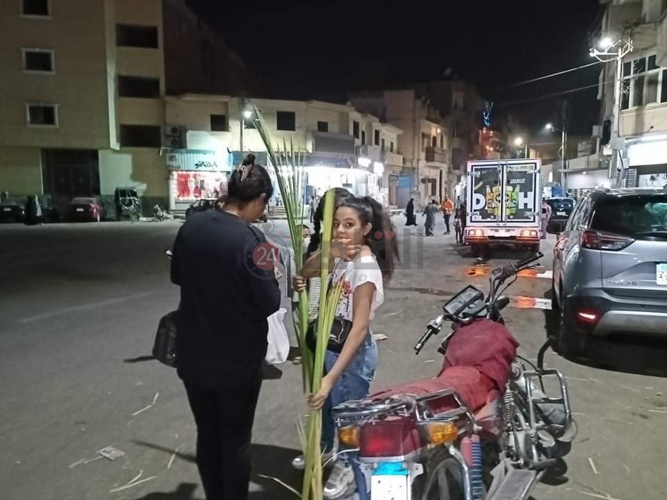 شراء سعف النخيل احتفالا بأحد الشعانين 14