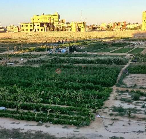 received_433301198564463