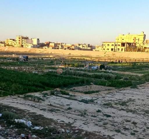 received_355896553243546