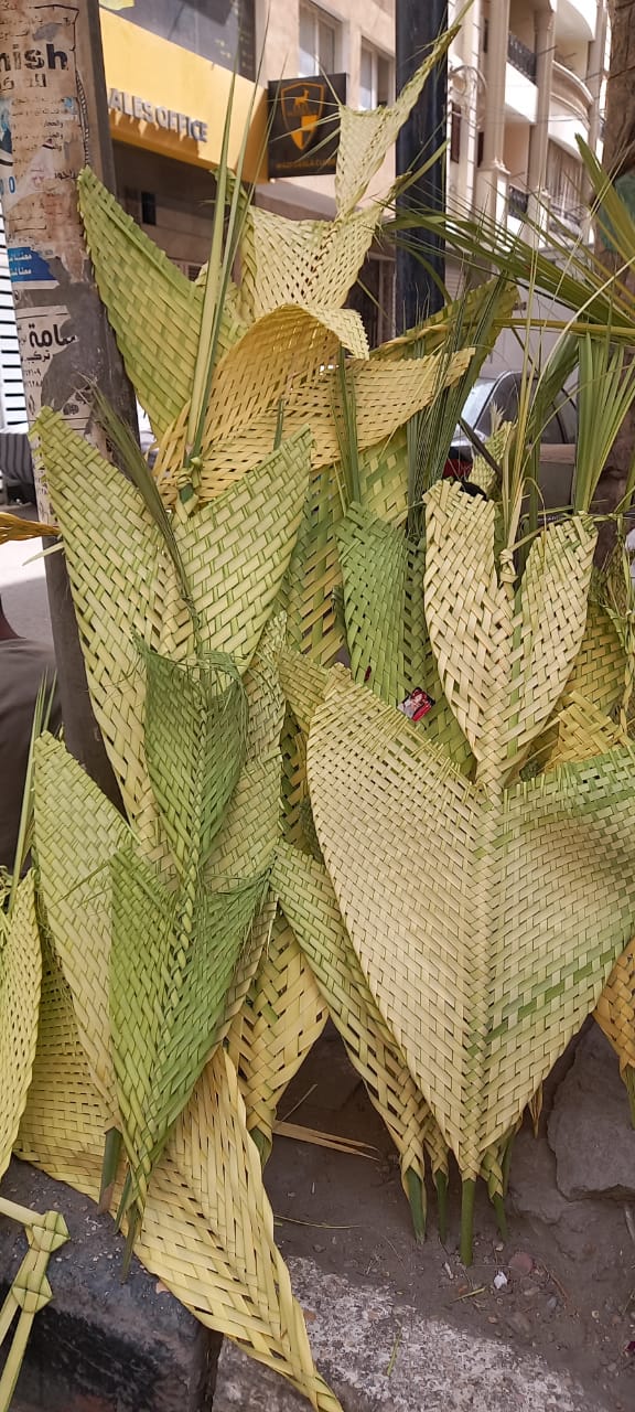 بائعي السعف بأسيوط 