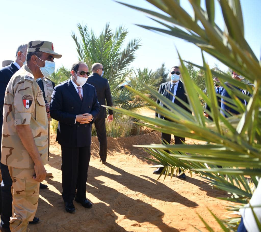 السيسي يتفقد منطقة توشكي ويشهد بدء موسم حصاد القمح