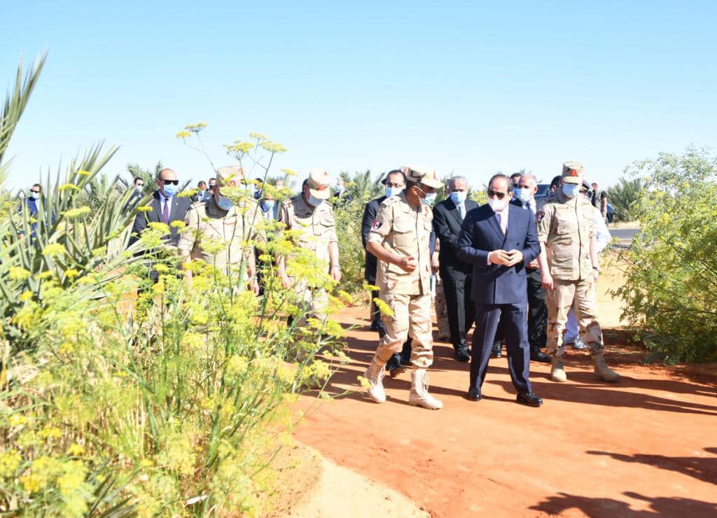 السيسي يتفقد منطقة توشكي ويشهد بدء موسم حصاد القمح