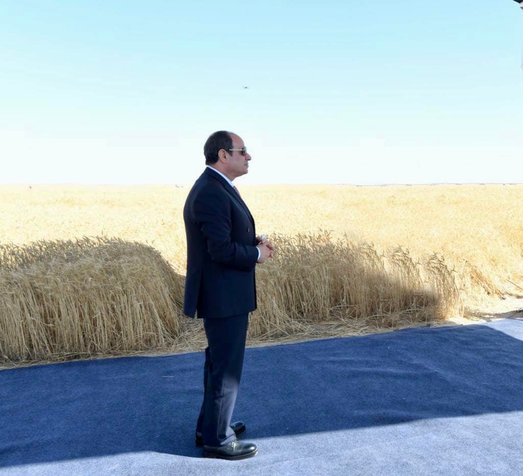 السيسي يتفقد منطقة توشكي ويشهد بدء موسم حصاد القمح