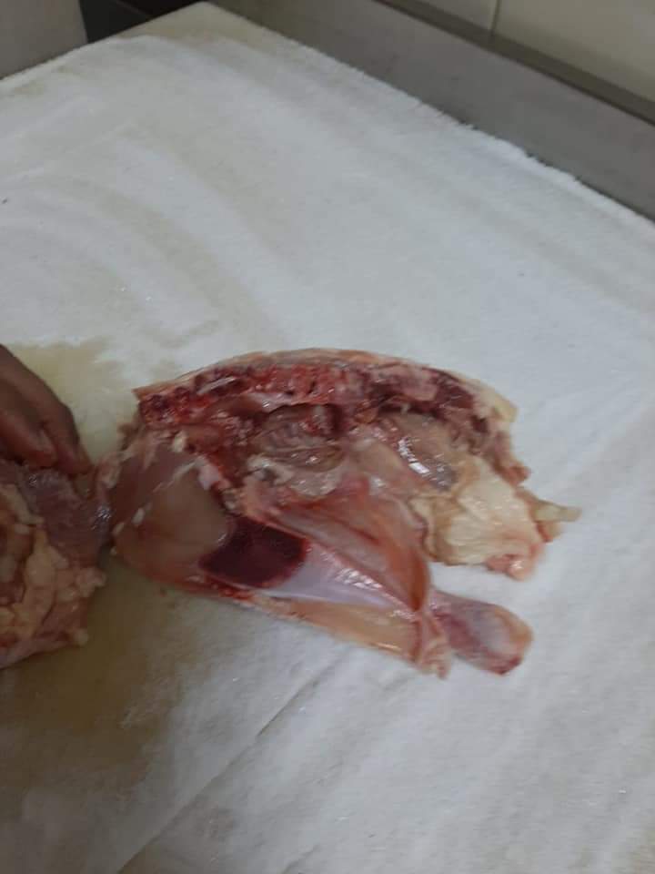 فراخ غير صالحة للاستهلاك الادمي