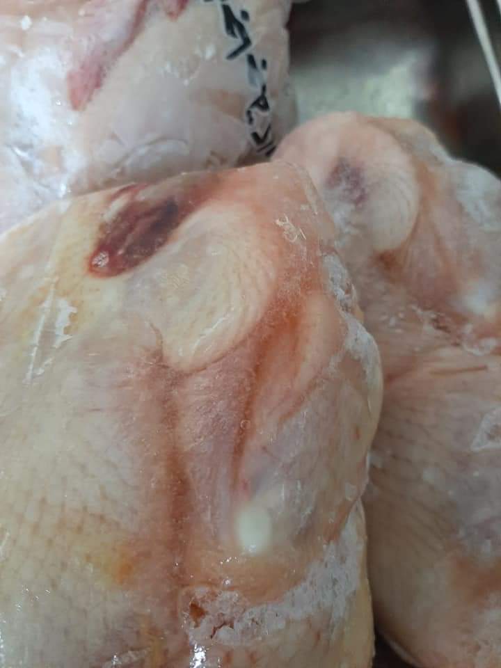 فراخ غير صالحة للاستهلاك الادمي