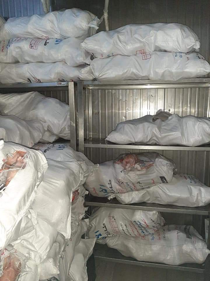 فراخ غير صالحة للاستهلاك الادمي