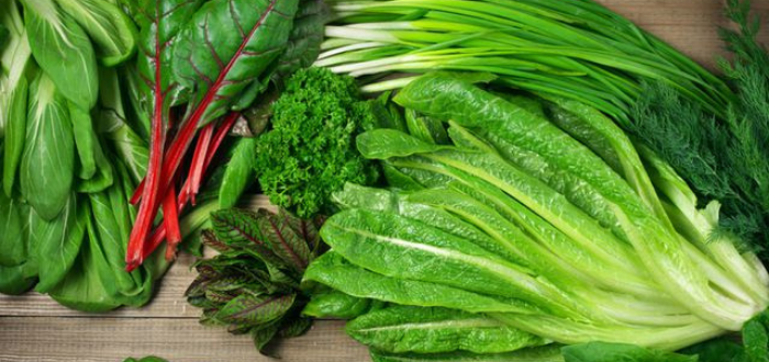 الخضروات الورقية