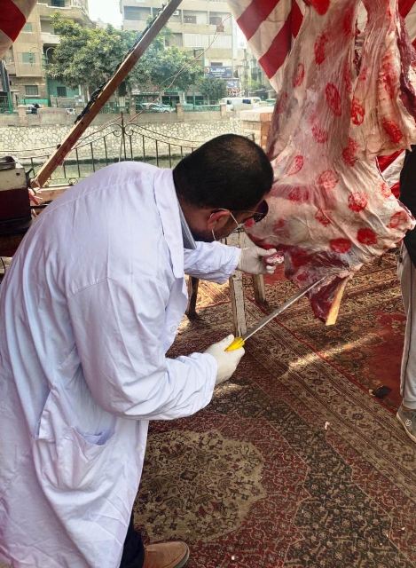 حملات تفتيشية على الأسواق بالشرقية 04