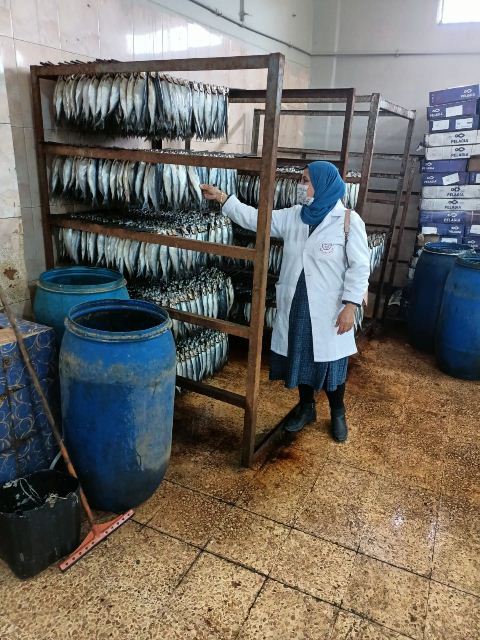 حملات تفتيشية على الأسواق بالشرقية 2