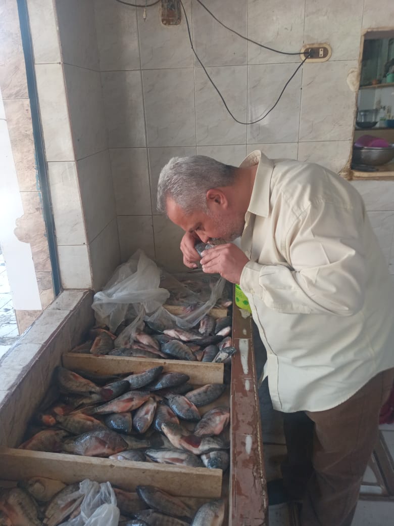 حملات تفتيشية على المنشآت الغذائية والأسواق بالشرقية