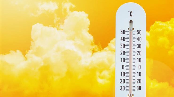 2019_5_16_1_10_4_831