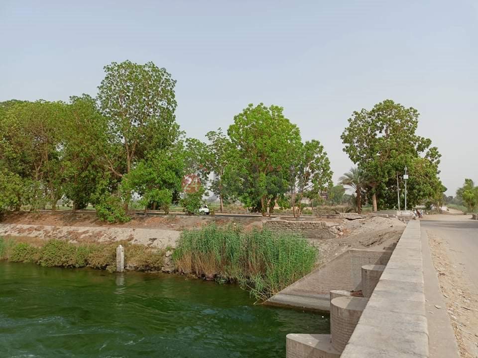 الأحوال الجوية بالأقصر 