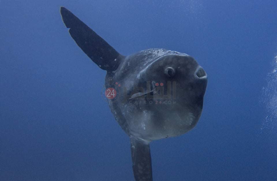 IMG_٢٠٢٢٠٥٠٥_١٠٥٦٠٨