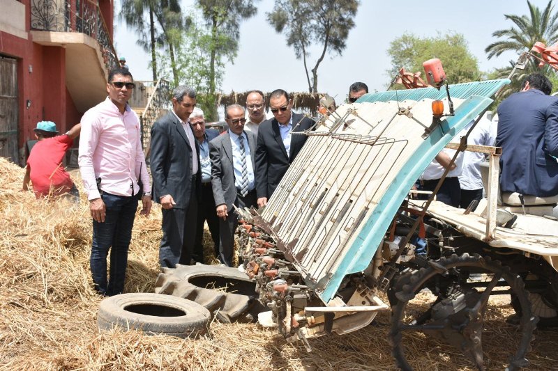 محافظ الشرقية يتابع موسم حصاد القمح 01