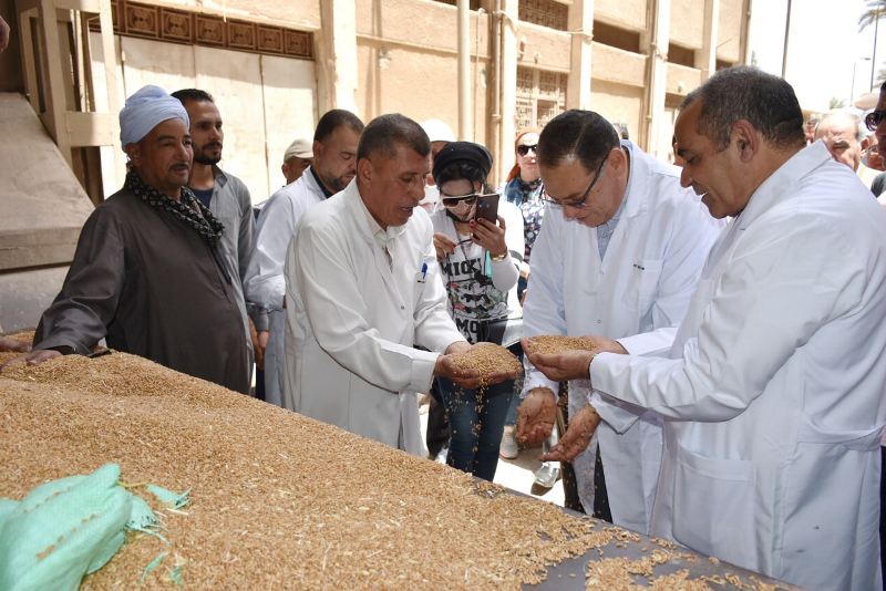 محافظ الشرقية يتفقد شونة البنك الزراعي 03