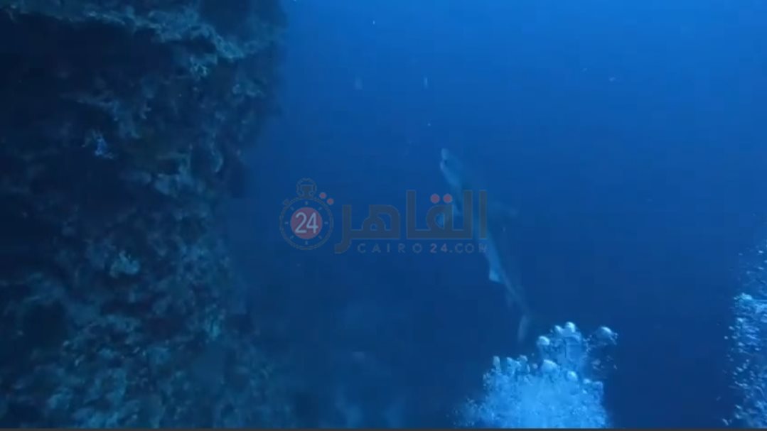 IMG_٢٠٢٢٠٥٠٨_١٦٠٢٢٧