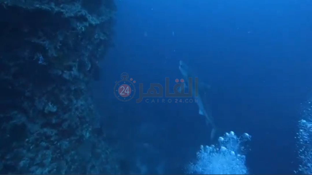 IMG_٢٠٢٢٠٥٠٨_١٦٠١٢٥