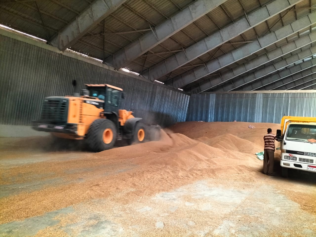 الرقابة الإدارية تتابع توريد الأقماح للصوامع في الإسكندرية 