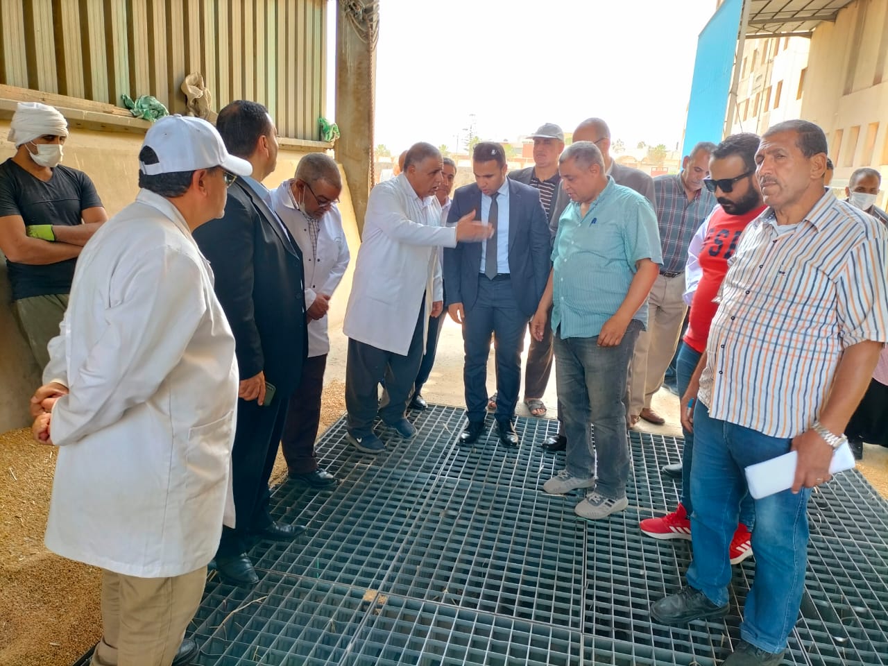 الرقابة الإدارية تتابع توريد الأقماح للصوامع في الإسكندرية 