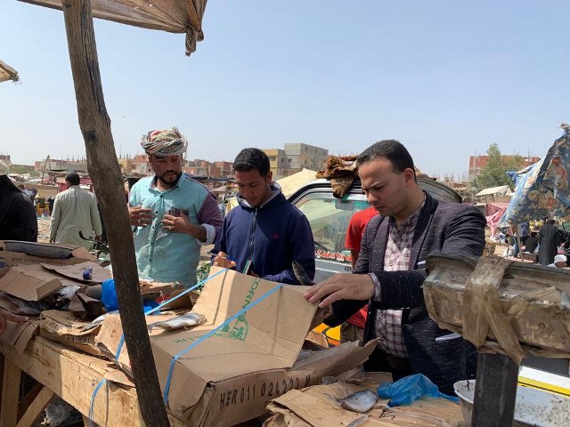 حملات على المنشآت الغذائية بالشرقية 04