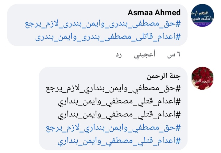 هاشتاج للمطالبة بإعدام قاتلى شقيقان بأسيوط 