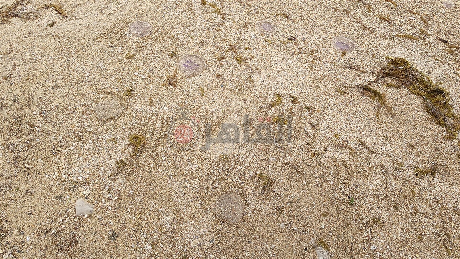 IMG20220517124704_01