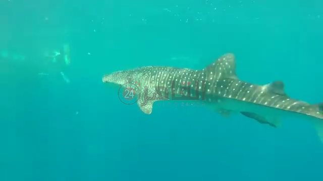 IMG_٢٠٢٢٠٥٢٦_١٦٠٩٠٤٢٨