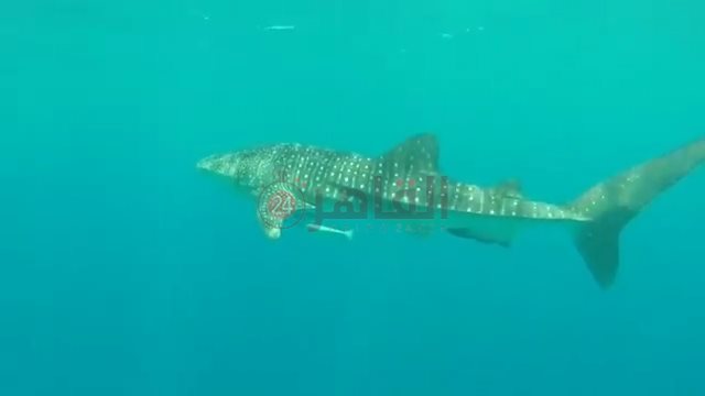 IMG_٢٠٢٢٠٥٢٦_١٦٠٨٥٧١١