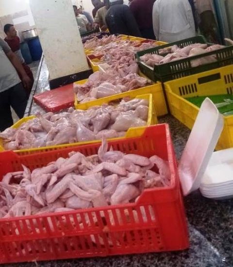 لحوم دواجن مجهولة المصدر بالشرقية 03