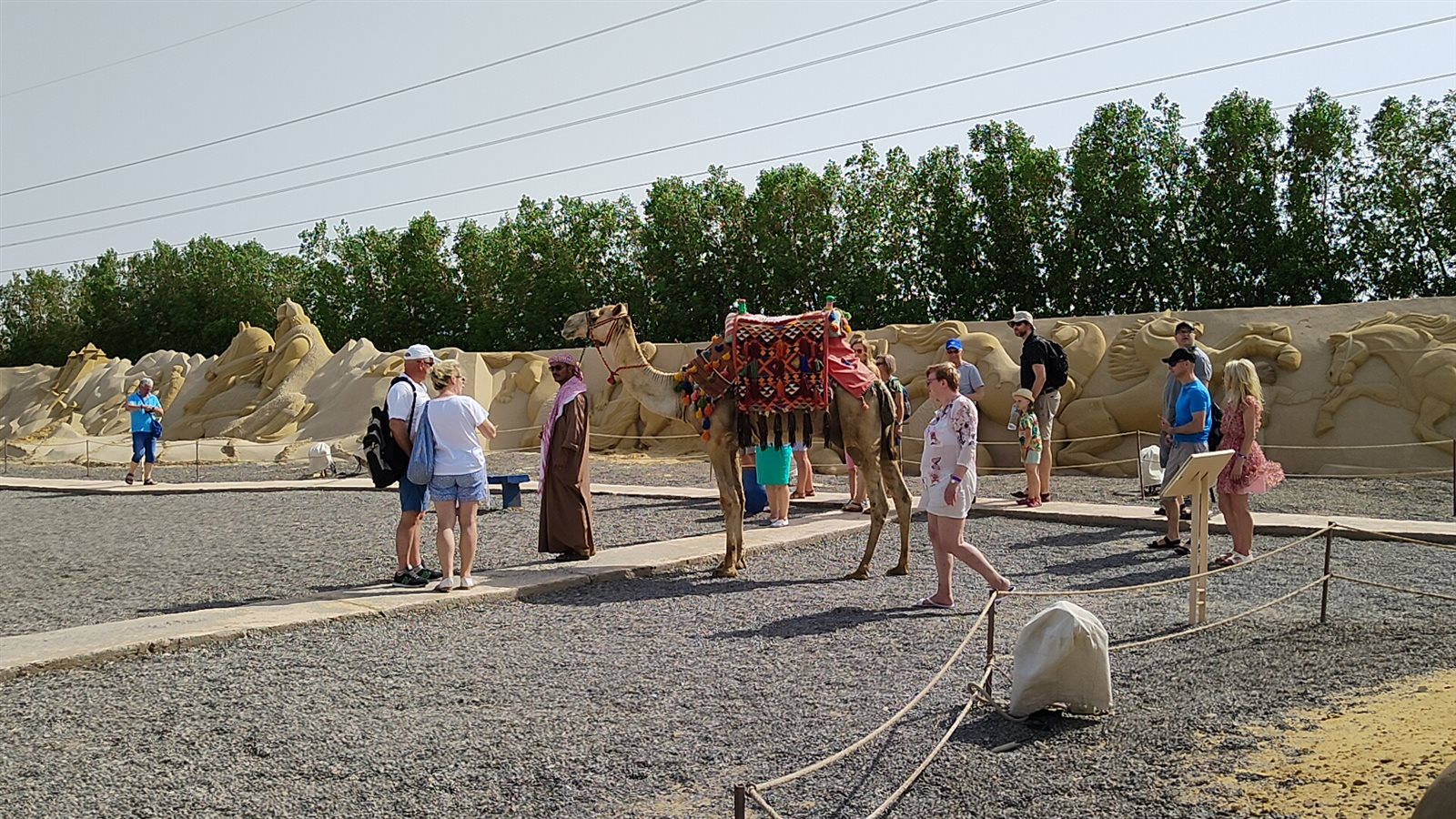 IMG20220521150357_01