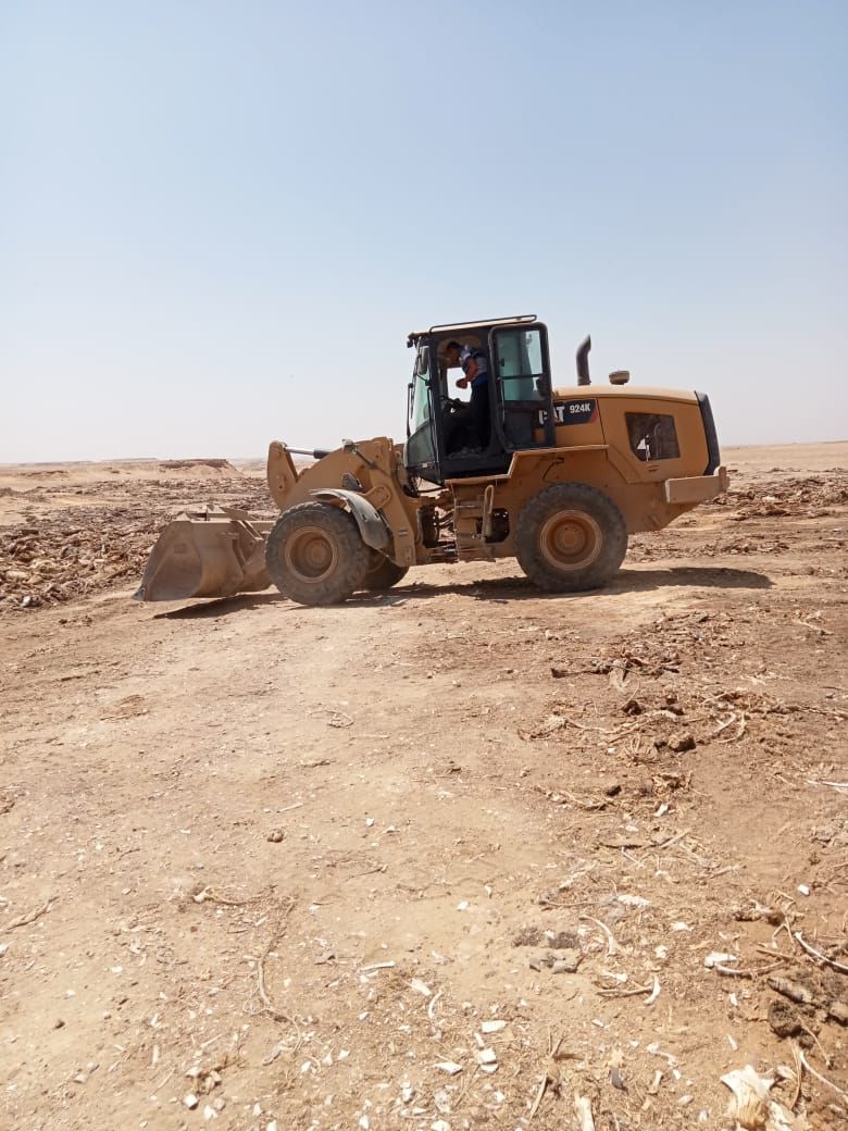 العثور على هياكل حمير