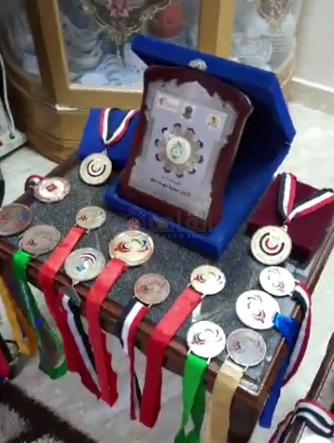 Screenshot_٢٠٢٢٠٦١٣-١٩١٦٣١_WhatsApp