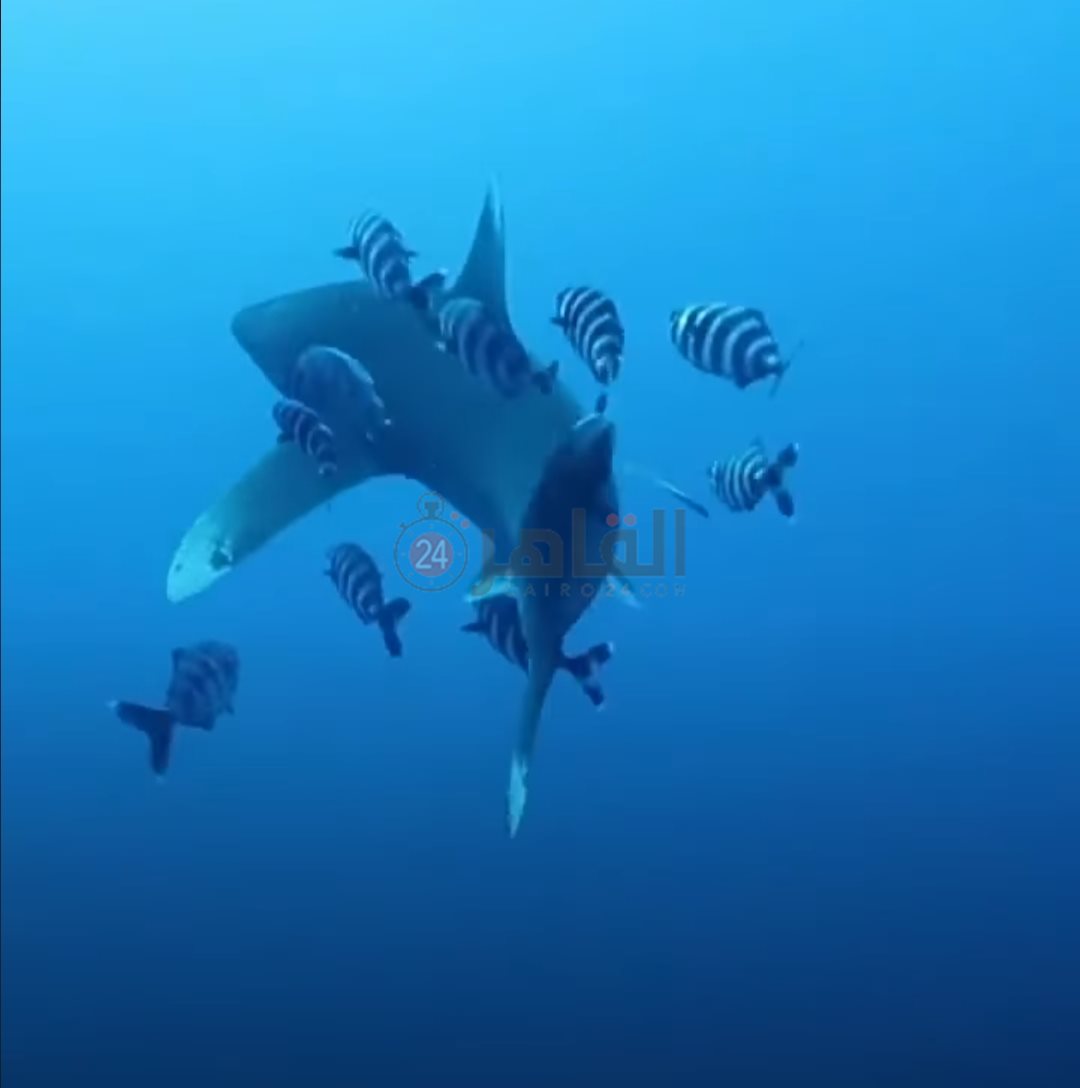 IMG_٢٠٢٢٠٦١٦_٠٧٥١٠٧