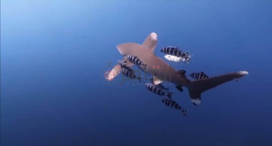 IMG_٢٠٢٢٠٦١٦_٠٧٥٠٥٠