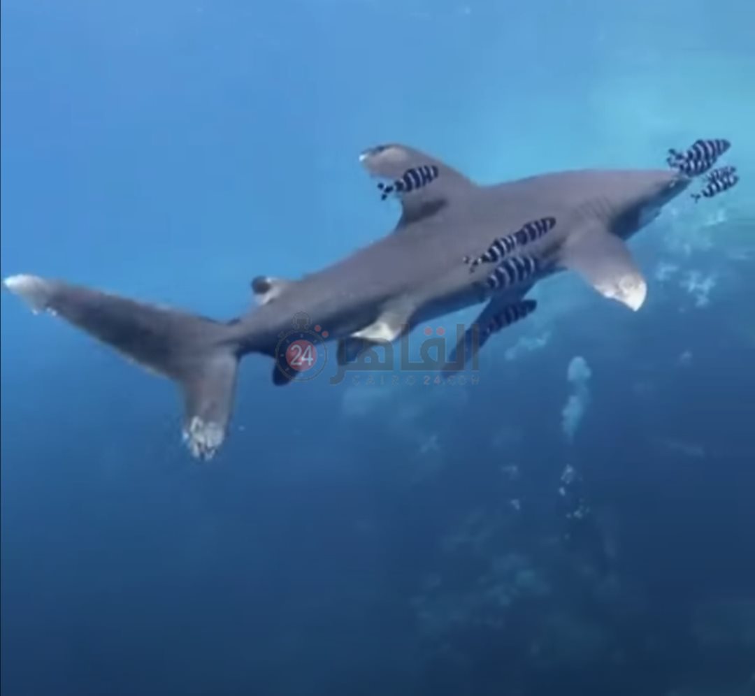 IMG_٢٠٢٢٠٦١٦_٠٧٥٠٠١