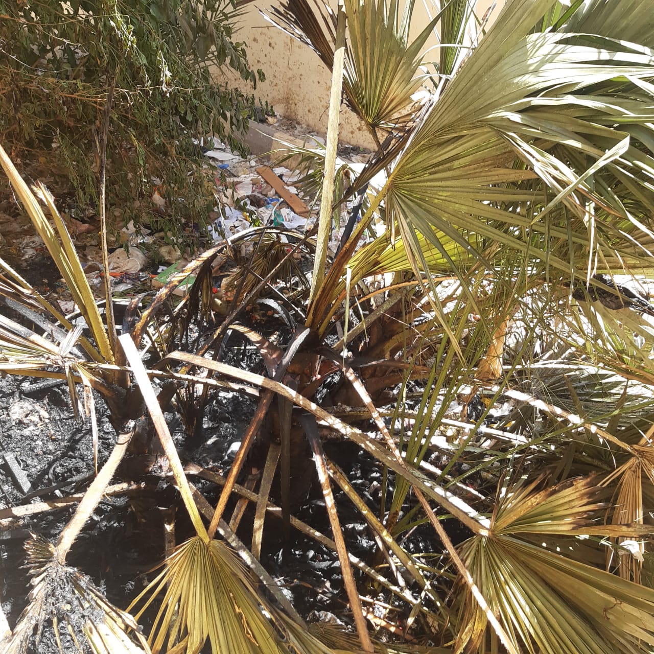 نشوب حريق بمدرسة محمد فريد بأسيوط