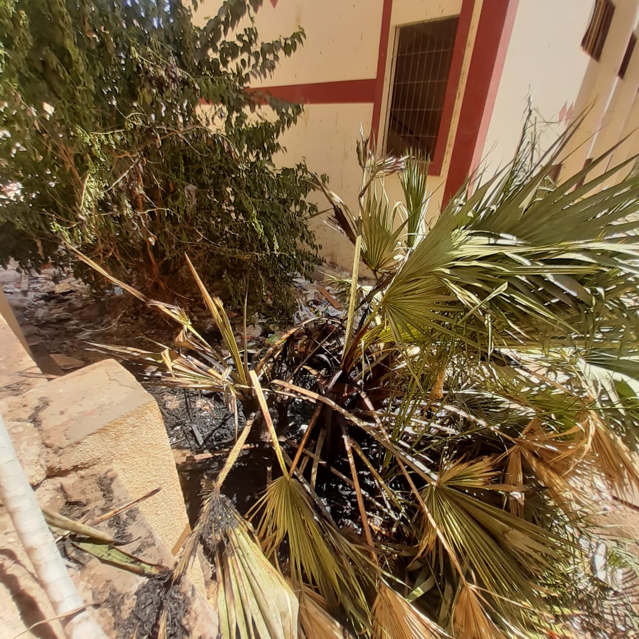 نشوب حريق بمدرسة محمد فريد بأسيوط