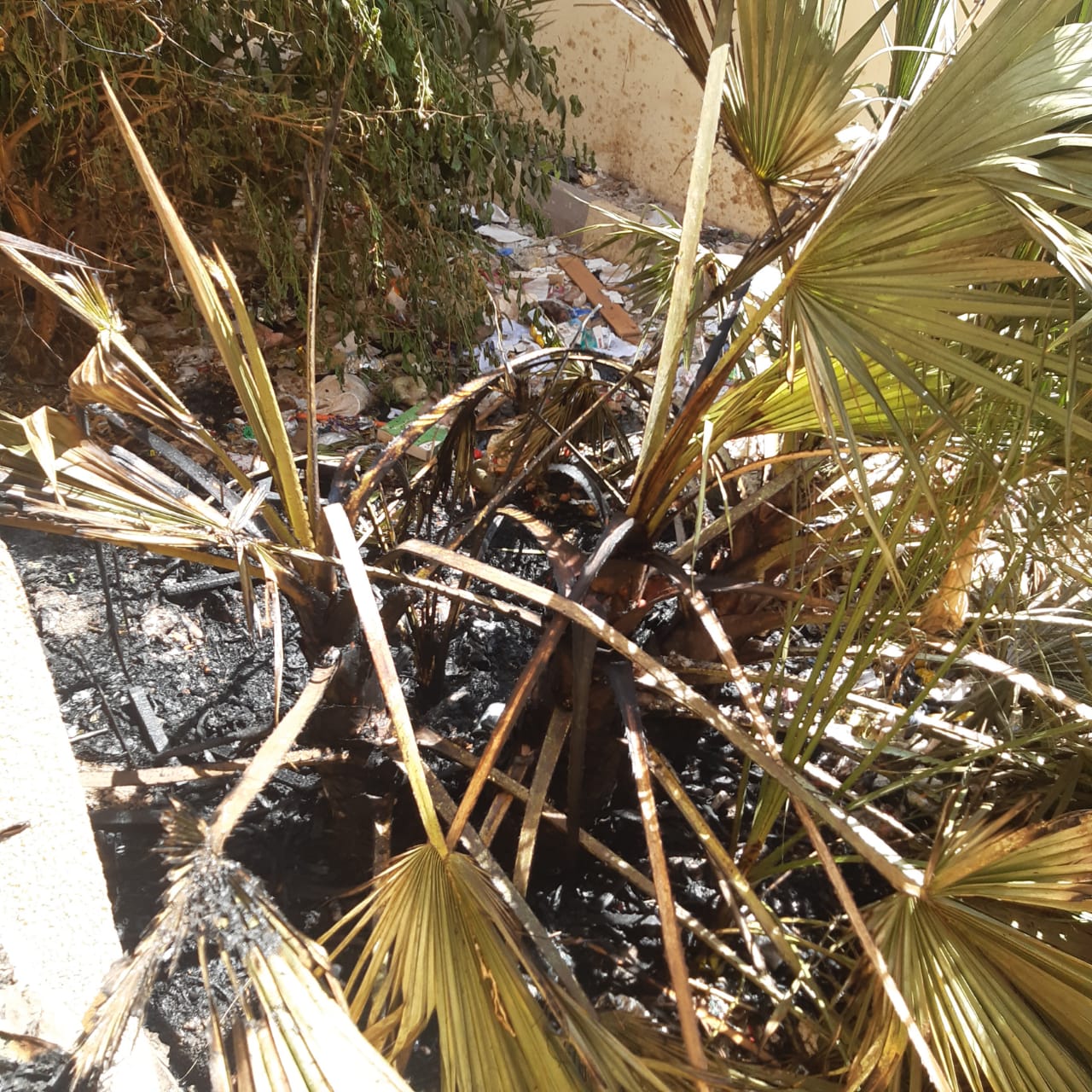 نشوب حريق بمدرسة محمد فريد بأسيوط