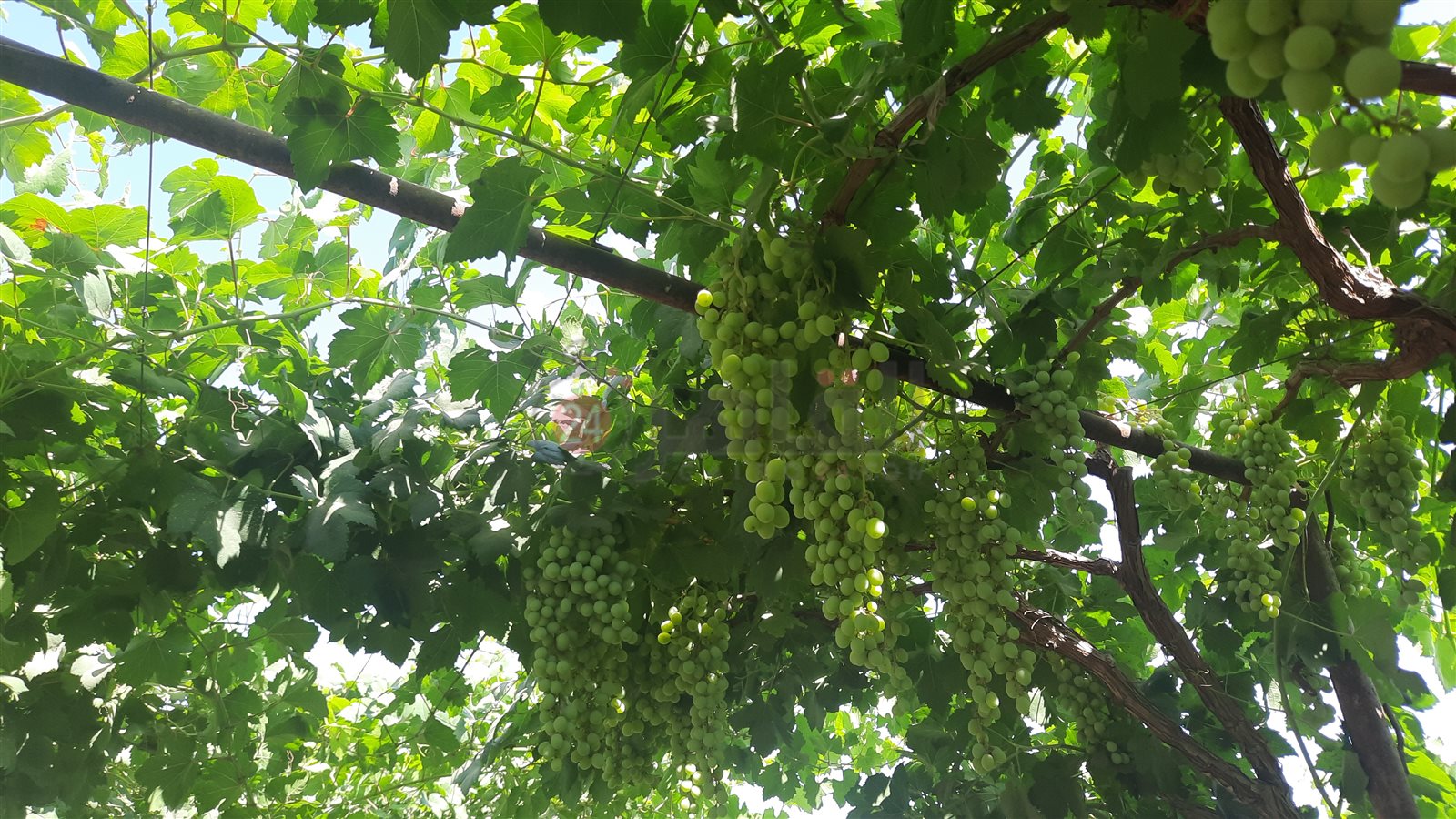 ٢٠٢٢٠٦١٥_١٤٥٨٠٨