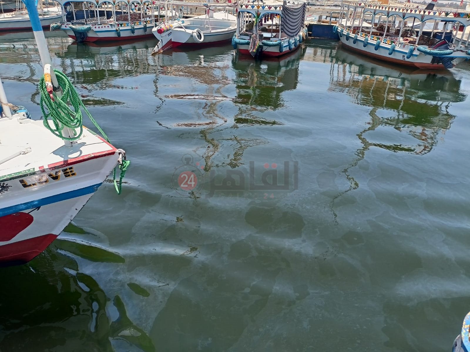 بقعة الزيت بنيل الأقصر 