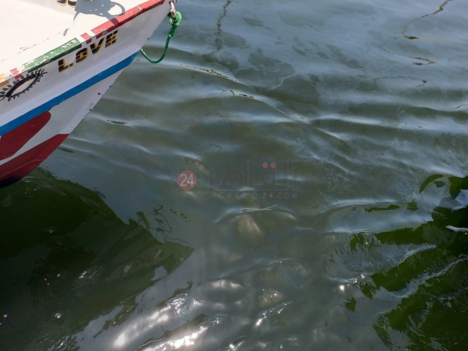 بقعة الزيت بنيل الأقصر 