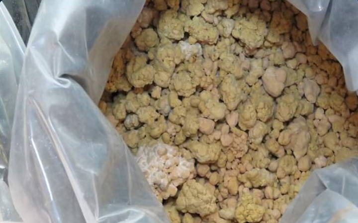 جانب من المضبوطات 03