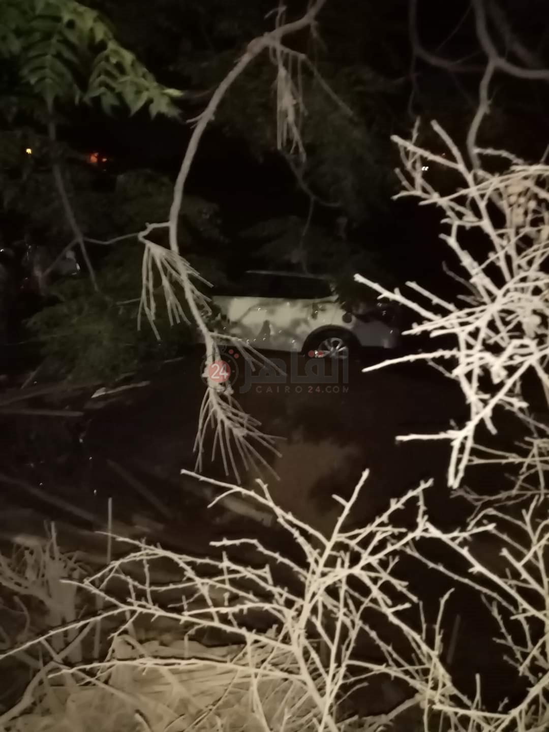 FB_IMG_1656742266000