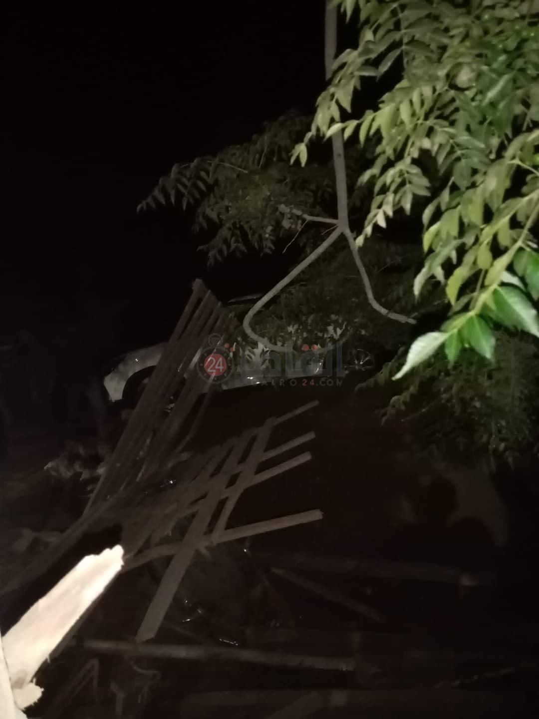 FB_IMG_1656742263558