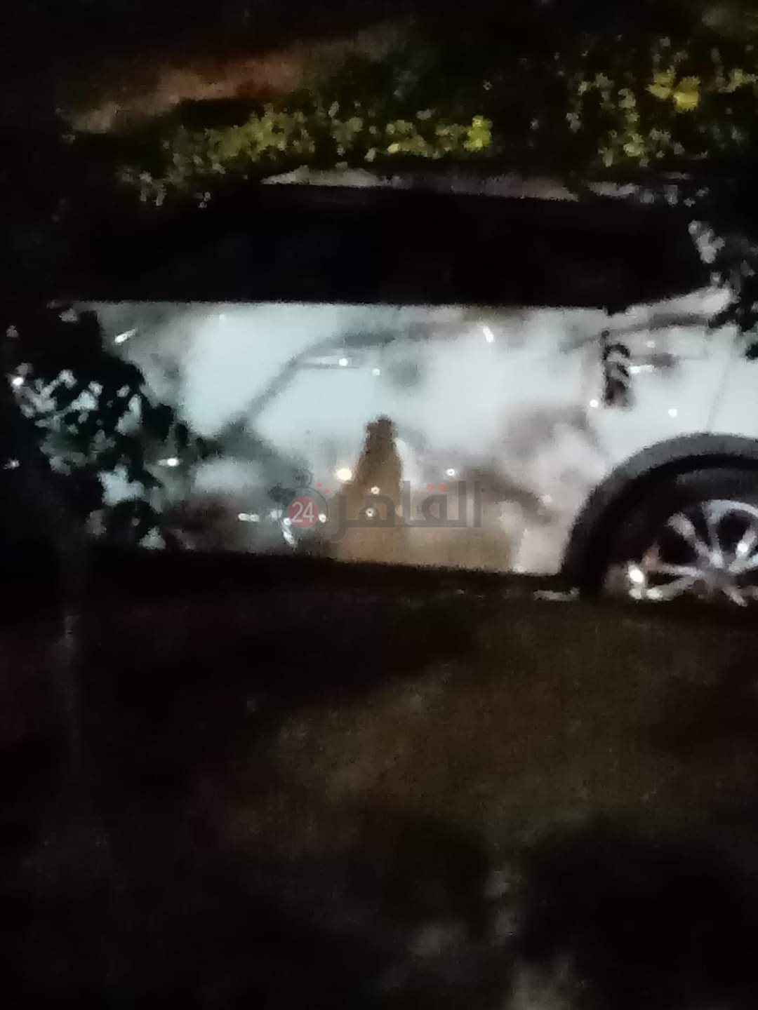 FB_IMG_1656742259221