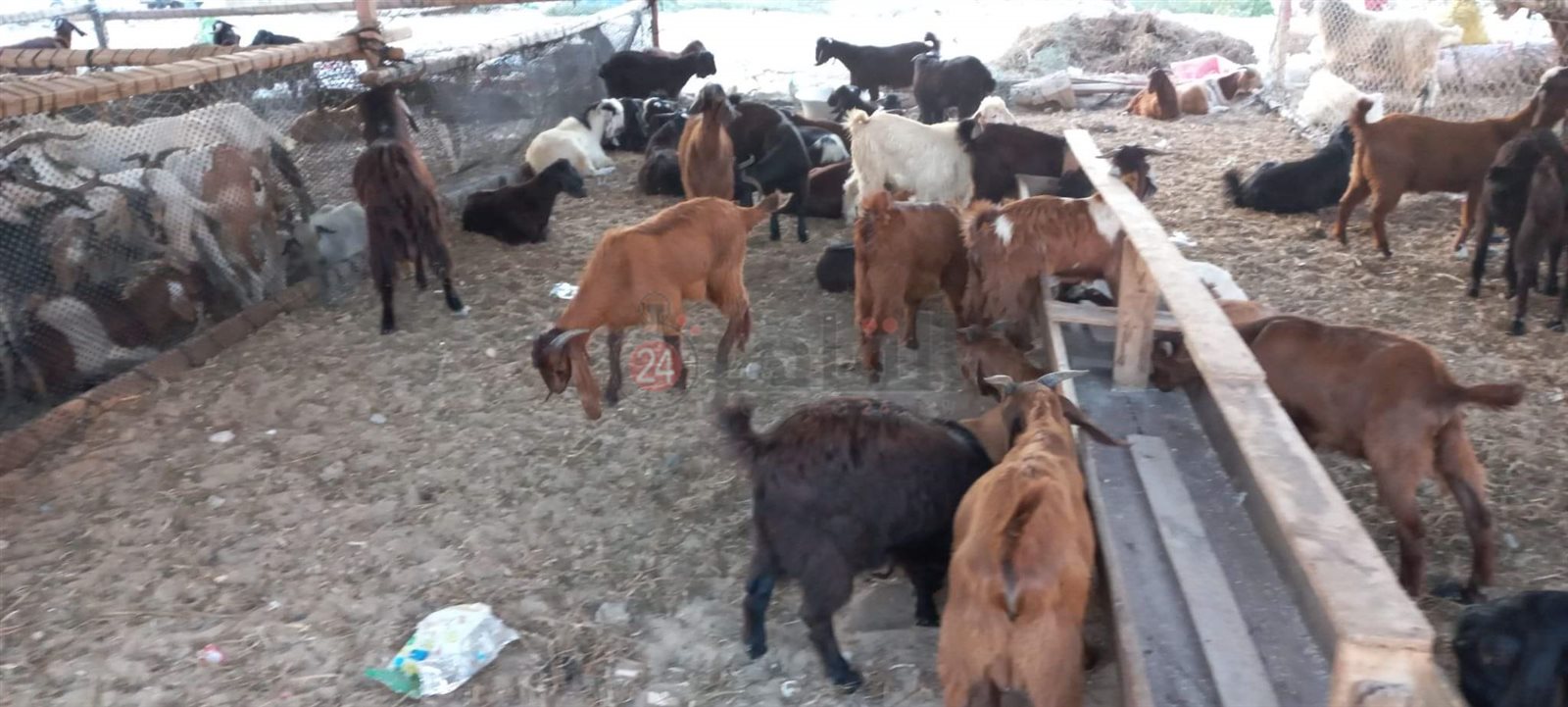 received_1445000035981751