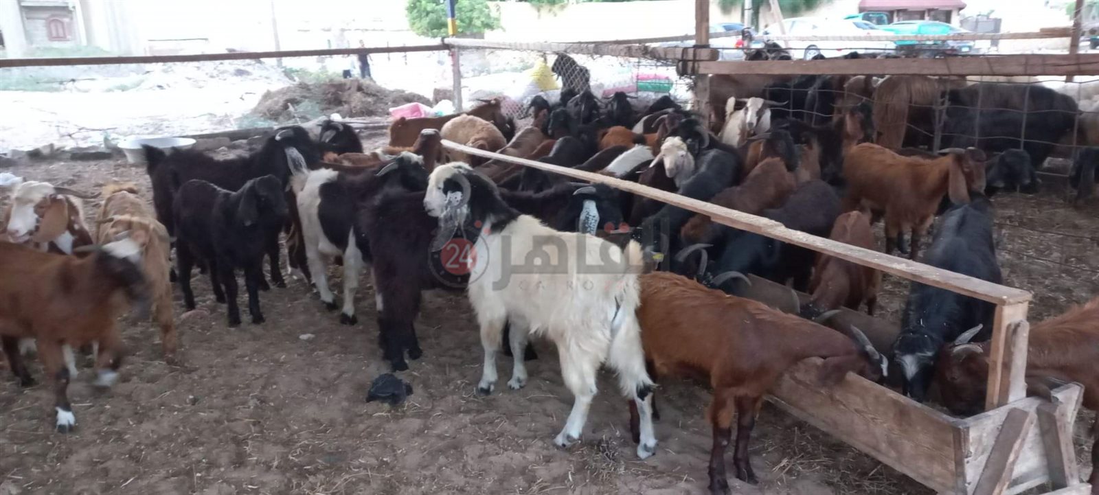 received_1517430072005090